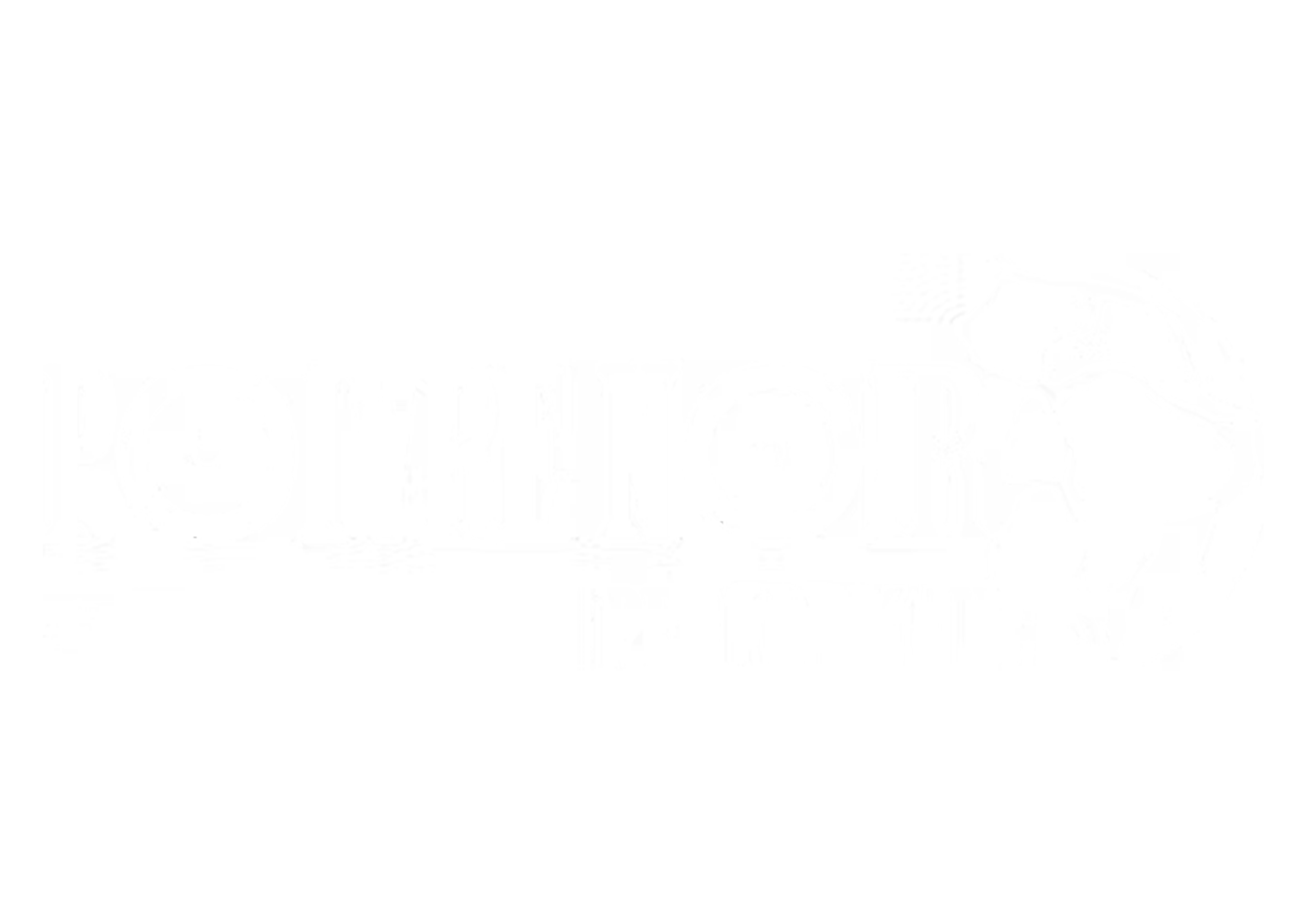 PNP Mapping